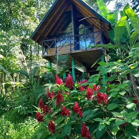 Cabana Com Cachoeira Privativa Imarui Exterior photo